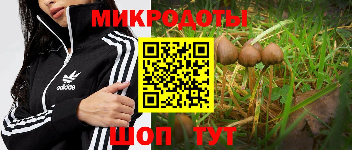 Галлюциногенные грибы Magic Shrooms Волгоград