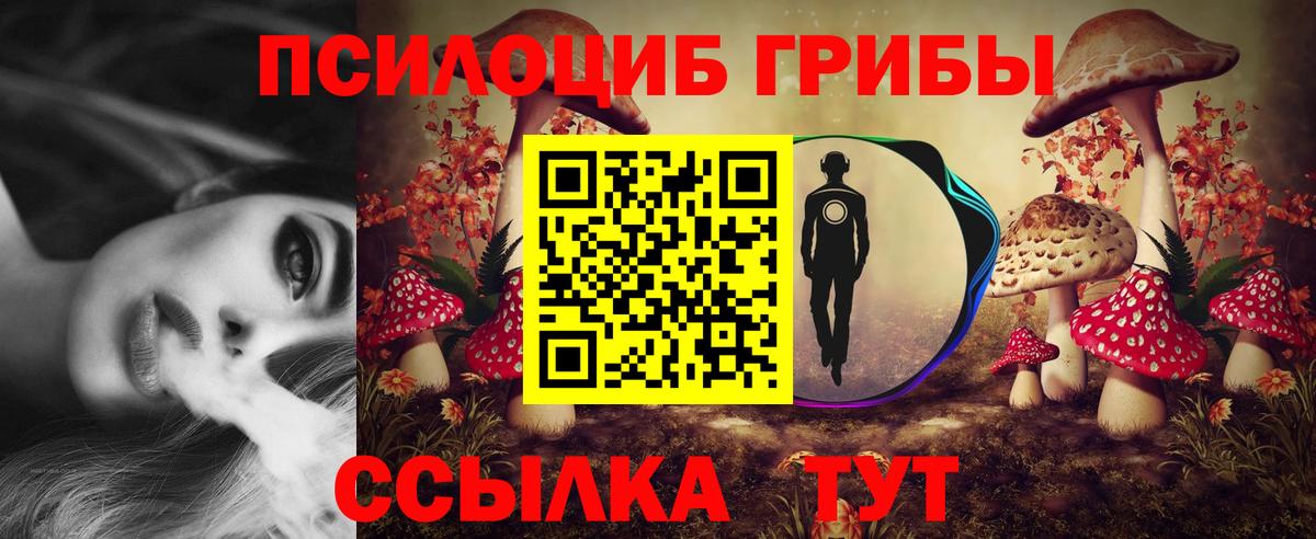 Волгоград  Псилоцибиновые грибы Magic Shrooms  Вход с VPN 